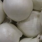 Organic Southport White Globe Onion Seeds 25 Count