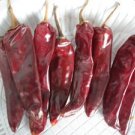 Organic Puya Chili Seeds 25 Count