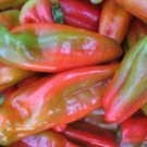 Organic Cubanelle Pepper Seeds 25 Count
