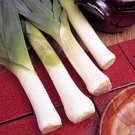 Organic Ester Cook Leek Seeds 25 Count