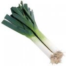 Organic Electra Leek Seeds 25 Count