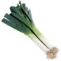 Organic Electra Leek Seeds 25 Count