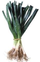 Organic Falltime Leek Seeds 25 Count