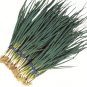 Organic Hiro Haba Leek Seeds 25 Count