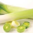 Organic Jersey Leek Seeds 25 Count