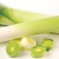 Organic Jersey Leek Seeds 25 Count