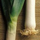 Organic Parton Leek Seeds 25 Count