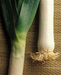 Organic Parton Leek Seeds 25 Count