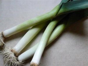 Organic Titan Leek Seeds 25 Count