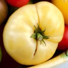 Organic White Tomato Seeds 10 Count