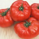 Organic Beefsteak Tomato Seeds 10 Count