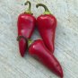 Organic Fresno Chili Seeds 25 Count