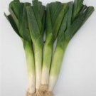 Organic Gigante d