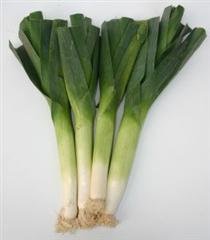 Organic Gigante d
