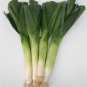 Organic Gigante d