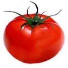 Organic Allerbest Tomato Seeds 25 Count
