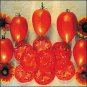 Organic Amish Paste Tomato Seeds 25 Count