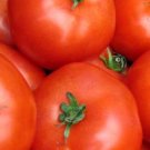 Organic Ace Tomato Seeds 15 Count