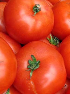 Organic Ace Tomato Seeds 15 Count