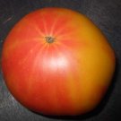 Organic Besser Tomato Seeds 10 Count