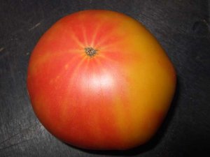 Organic Besser Tomato Seeds 10 Count