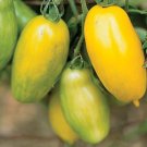 Organic Banana Legs Tomato Seeds 15 Count