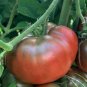 Organic Black Krim Tomato Seeds 15 Count