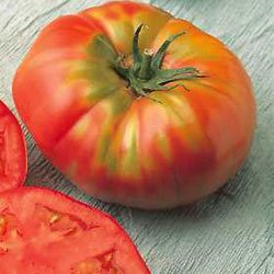 Organic Red Brandywine Tomato Seeds 15 Count