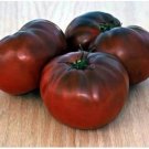 Organic Black Brandywine Tomato Seeds 15 Count