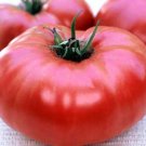 Organic Brandywine (Sudduth's Strain) Tomato Seeds 15 Count