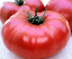 Organic Brandywine (Sudduth's Strain) Tomato Seeds 15 Count
