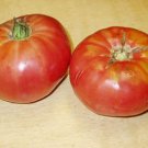 Organic Pink Brandywine Tomato Seeds 15 Count