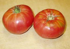 Organic Pink Brandywine Tomato Seeds 15 Count