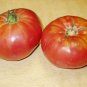 Organic Pink Brandywine Tomato Seeds 15 Count