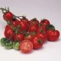 Organic Bloody Butcher Tomato Seeds 20 Count