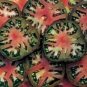 Organic Black Sea Man Tomato Seeds 15 Count