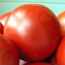 Organic Cosmonaut Volkov Tomato Seeds 20 Count