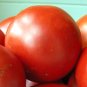 Organic Cosmonaut Volkov Tomato Seeds 20 Count