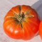 Organic Delicious Tomato Seeds 20 Count