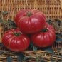 Organic Dutchman Tomato Seeds 15 Count