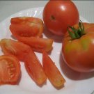 Organic Czech