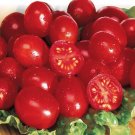 Organic Christmas Grapes Tomato Seeds 20 Count