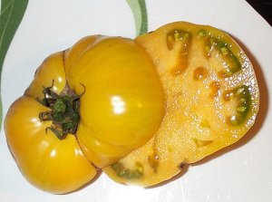 Organic Elbe Tomato Seeds 20 Count