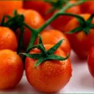 Organic Cherry Roma Tomato Seeds 20 Count