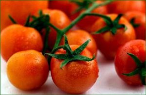 Organic Cherry Roma Tomato Seeds 20 Count