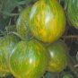 Organic Green Zebra Tomato Seeds 15 Count
