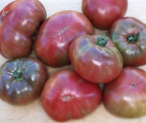 Organic Carbon Tomato Seeds 15 Count