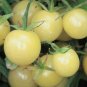 Organic Dr. Carolyn Tomato Seeds 15 Count