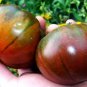Organic Watermelon Beefsteak Tomato Seeds 20 Count