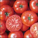 Organic Trophy Tomato Seeds 15 Count